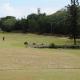 Golf 2011_057